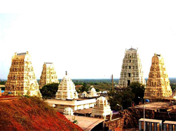 Sri Venkateshwara Swami Temple