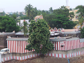 Villivakkam Agastheeswarar Temple