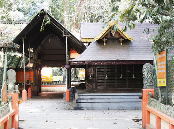 Vetticode Nagaraja Swamy Temple